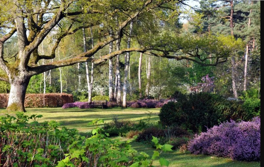 Arboretum de Mazeley, Mazeley, France